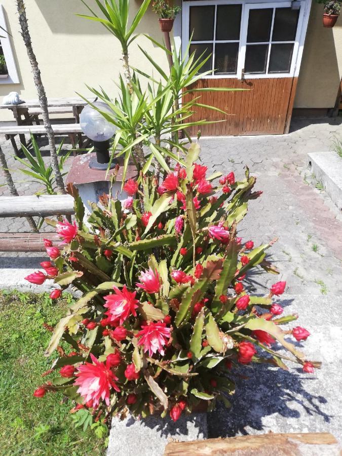 Penzion Baltazar Liptovska Luzna Εξωτερικό φωτογραφία